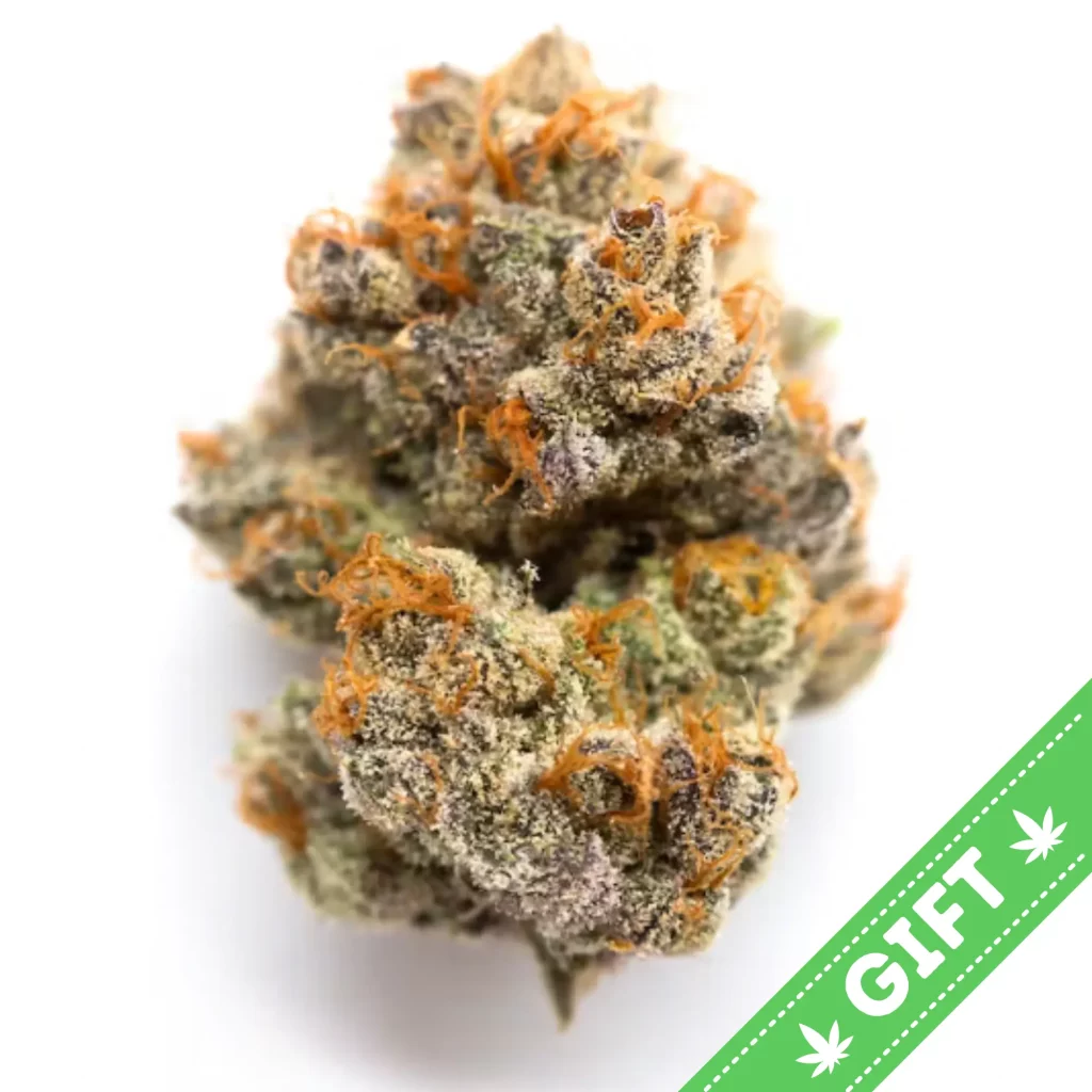 GARLOTTI (Indica Hybrid) is an indica dominant hybrid strain gifted in DC by Giving Tree. Created by crossing legendary Chem Dawg and Gelatti. Deep relaxation and sedation will be felt after experiencing this strain! Great for a night in or trouble sleeping.