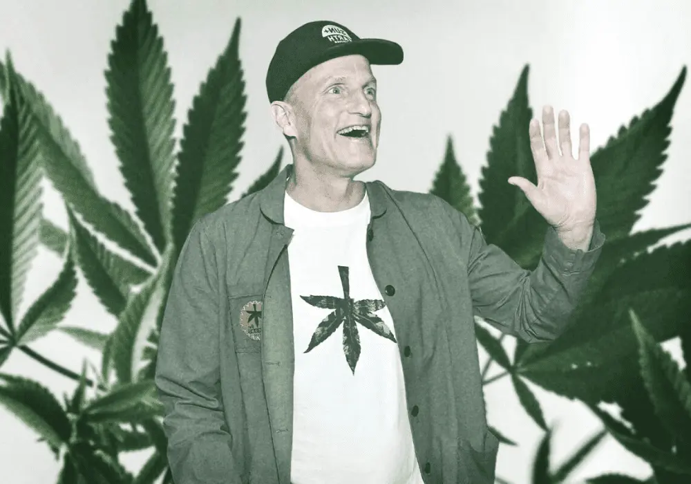 giving-tree-10-celebrities-who-spoke-out-about-weed-woodie-harelson