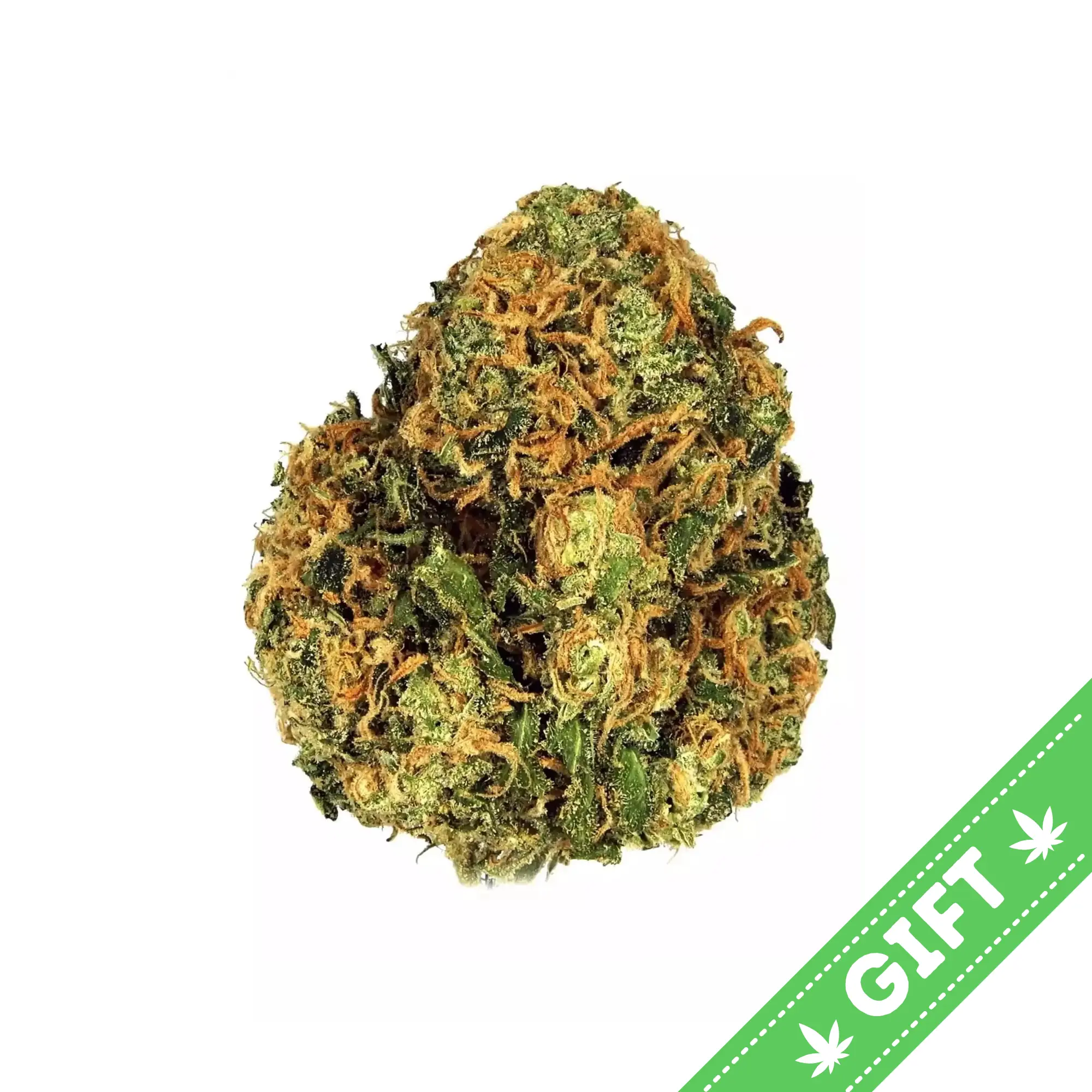 Giving Tree gifts Green Crack, a sativa strain of cannabis, with mango, citrus and tropical flavor profile. Great for fighting fatigue, stress and depression.