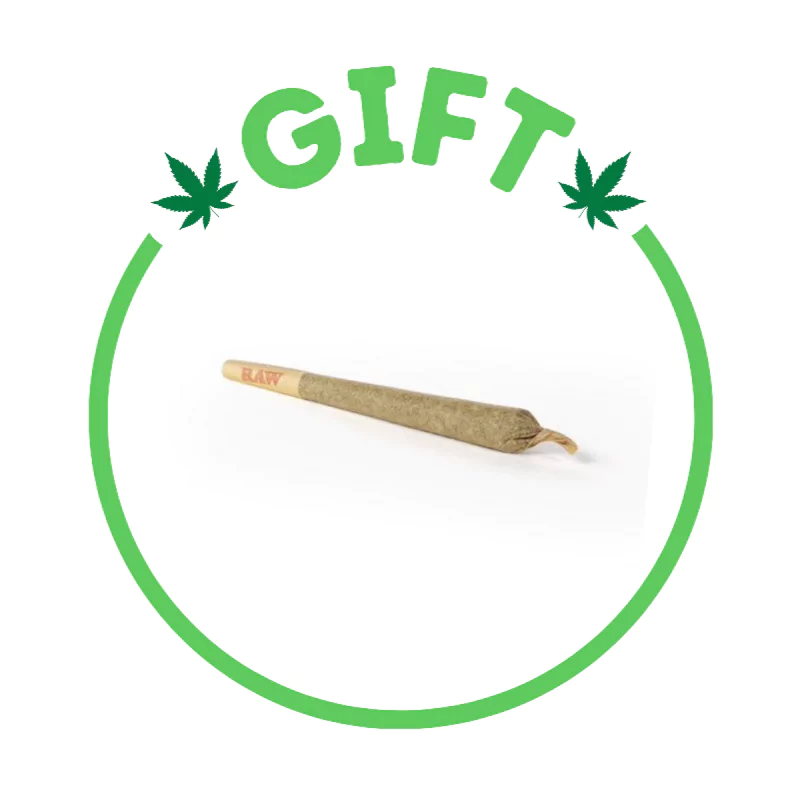 Giving Tree gifts Junior pre-rolls, smaller prerolls, new strains daily