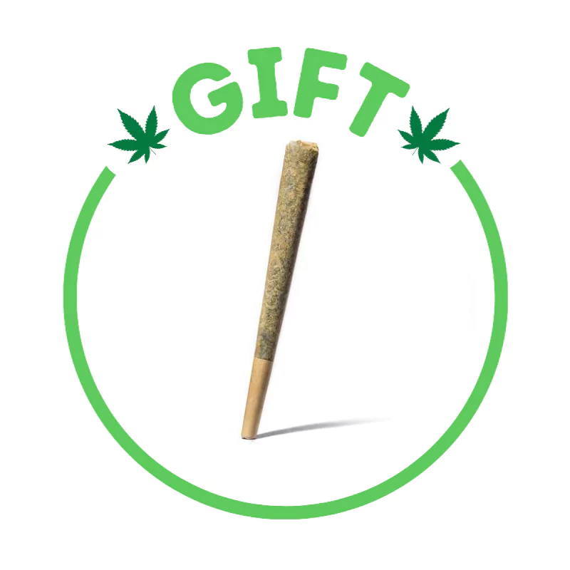 Giving Tree gifts Apples and Bananas Pre-roll, Apples and Bananas is a hybrid weed strain made by crossing Blue Power and Gelatti.