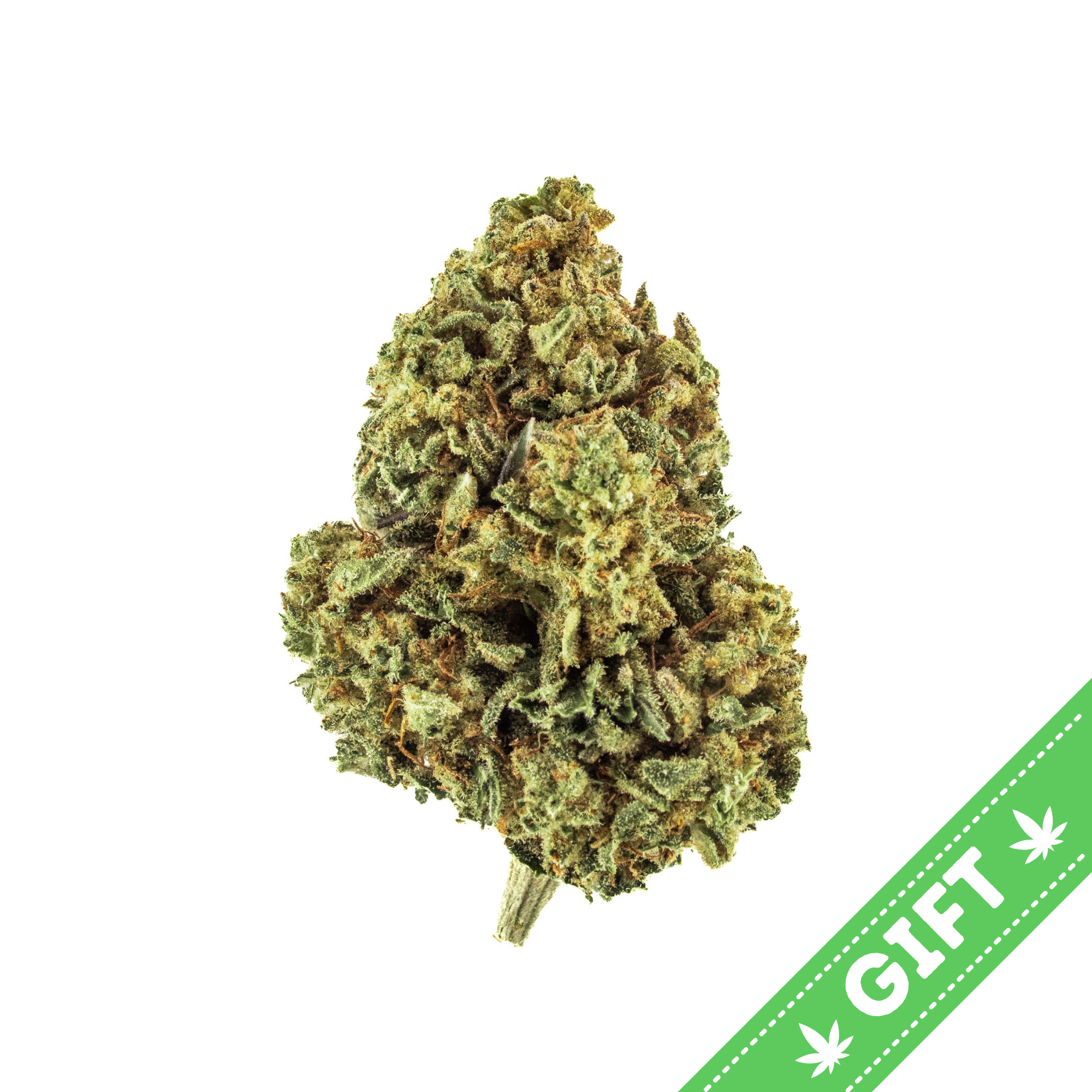 Giving Tree gifts Blue Dream, a balanced sativa dominant hybrid, with a smooth and spicy taste and notes of blueberry and haze.