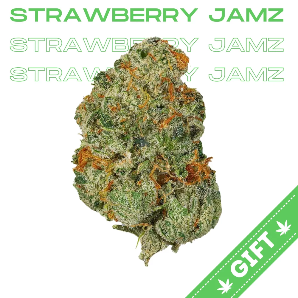 Giving Tree gifts Strawberry Jamz, a sativa hybrid supplies an understated yet tremendously pleasing high that is as well-suited for socializing as it is for making weekend chores a bit more enjoyable.