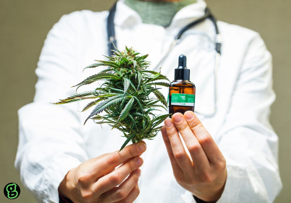 medical-cannabis-in-dc