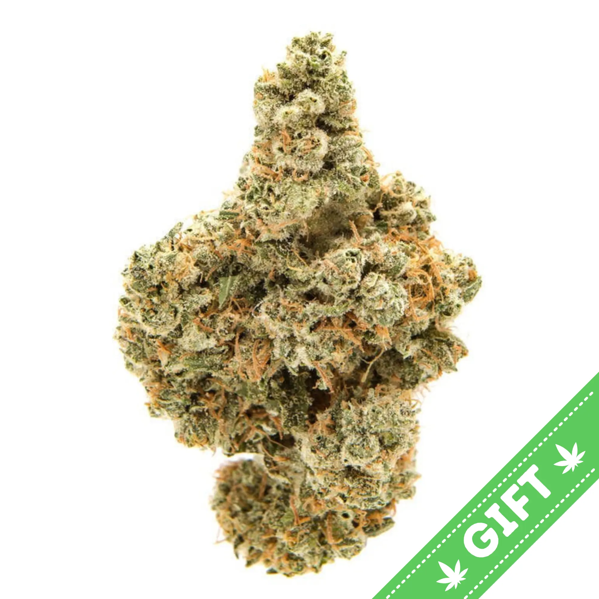 Giving Tree gifts Pineapple Express is a sativa-dominant hybrid marijuana strain made by crossing Trainwreck with Hawaiian.