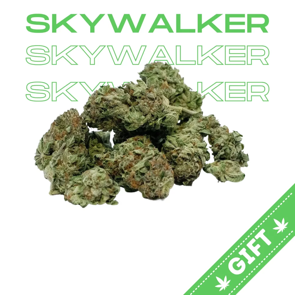 Giving Tree gifts Skywalker OG is an Indica dominant hybrid cannabis strain with a potent THC content ranging from 20% to 30%. It is a cross between Mazar and Blueberry OG strains. The dominant terpenes found in Skywalker OG are myrcene, caryophyllene, and limonene. Skywalker OG is well-known for its relaxing and euphoric effects, making it an excellent choice for stress relief and pain management.