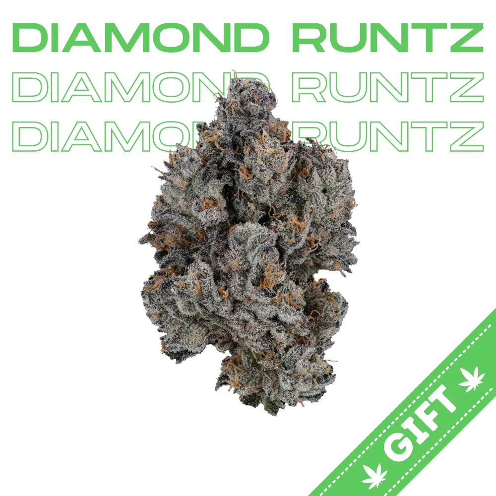 Giving Tree gifts Diamond Runtz, an indica-dominant hybrid weed strain made made from crossing of Skittlez and DoSiDos. 