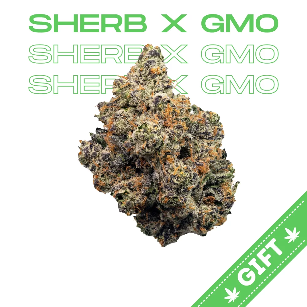 Giving Tree gifts Sherb x GMO, an indica hybrid, a true hitter without a doubt. Its Chem Dawg, Durban Poison and OG Kush lineage prove that, but throw in some Wedding Cake and Purple Punch and you have an Indica Hybrid powerhouse.