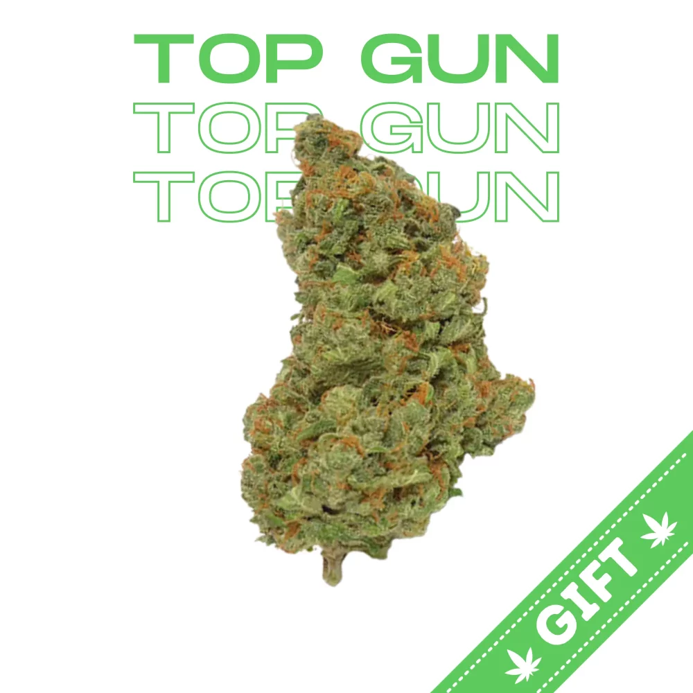 Giving Tree gifts Top Gun, an indica-hybrid Atlas Seeds classic strain. Atlas Star crossed with Cotton Candy creates a couchlock candyland of sugary sweet terps laced with earthy, nutty goodness.