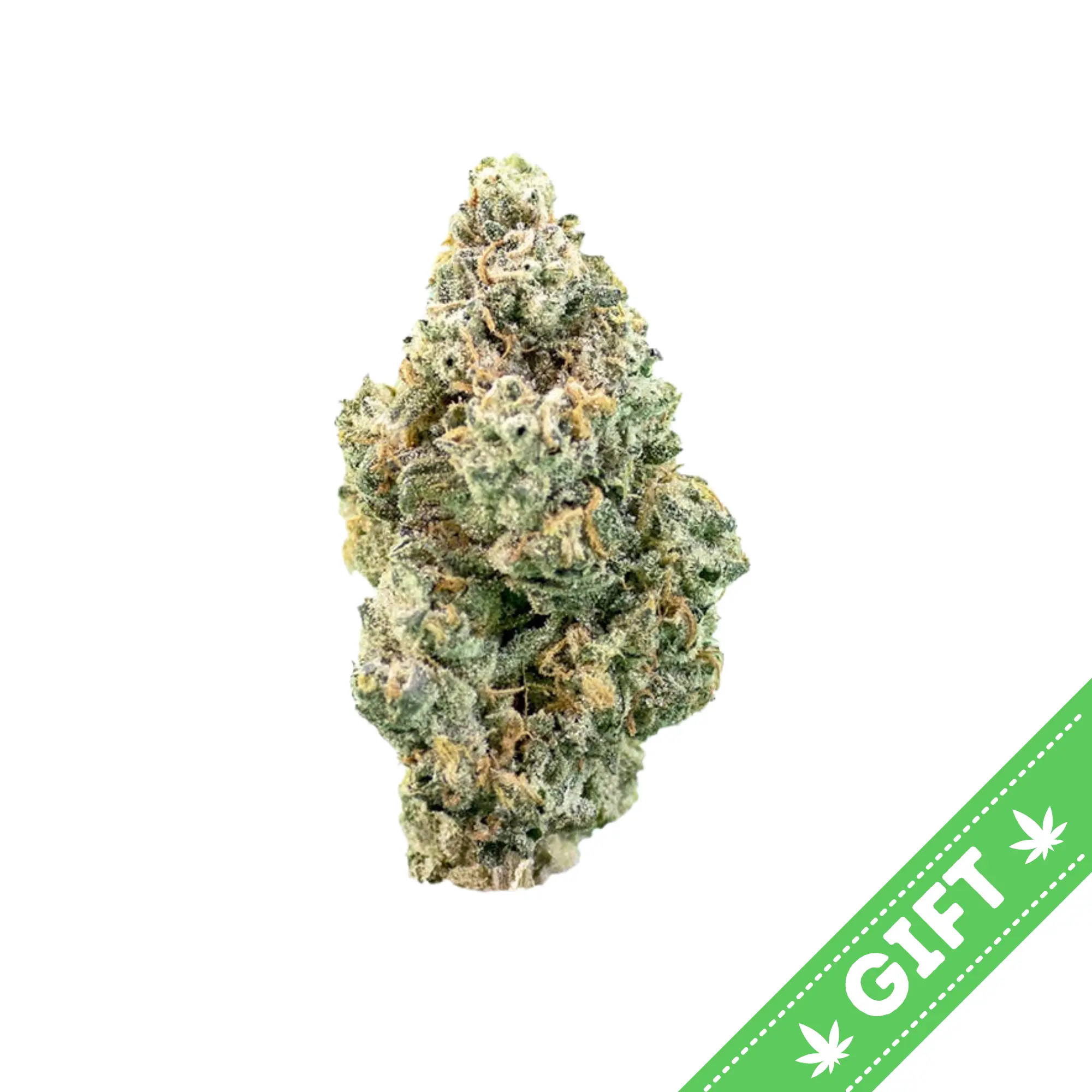 Giving Tree gifts White Miso, an indica-dominant hybrid, it's a cross between Kosher Kush BX1 and God's Breath #6, its fruit-forward flavor has tones of citrus and herbs that taste like fruit of the gods.
