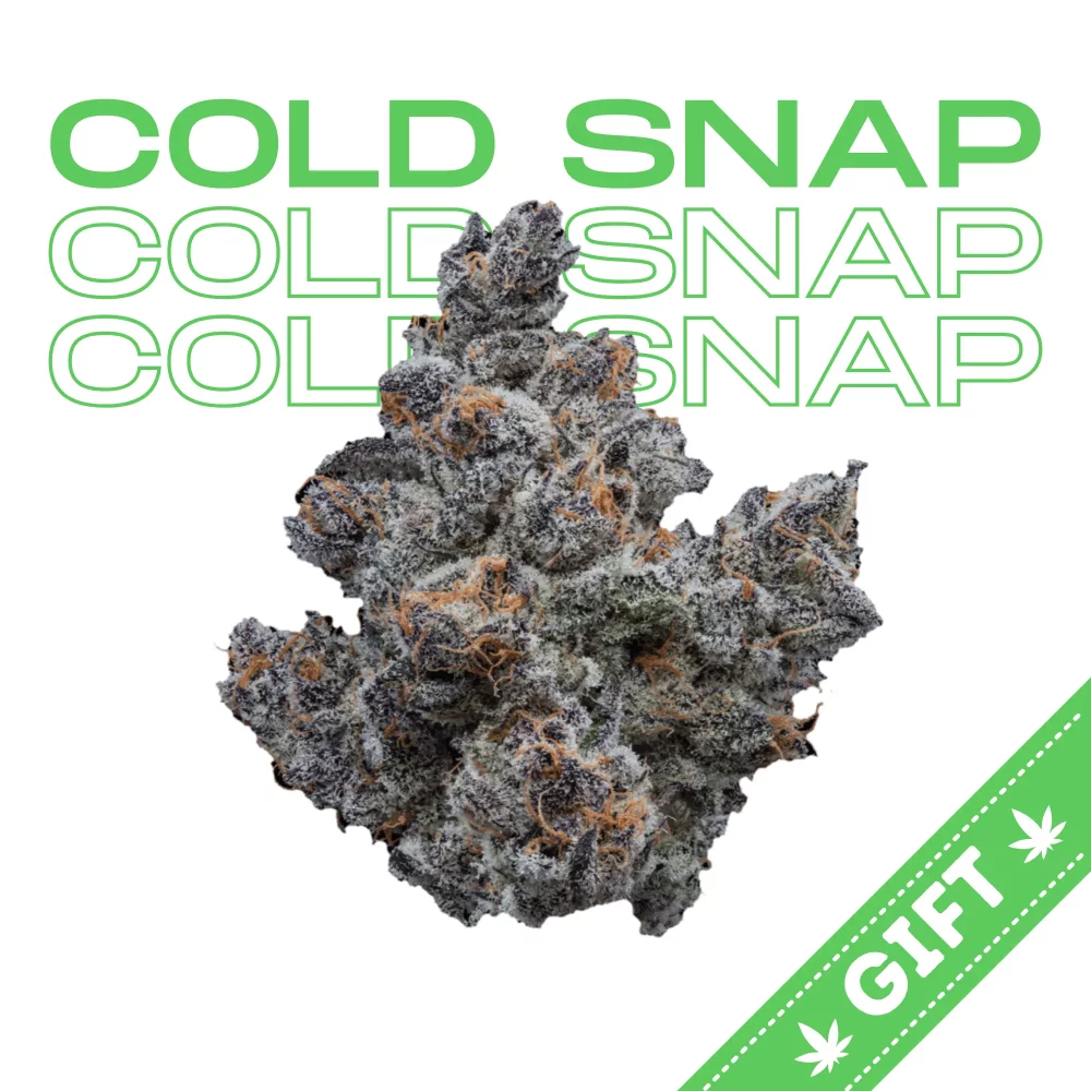 Giving Tree gifts Cold Snap, a hybrid weed strain made from a genetic cross between Biscotti and The Menthol. Cold Snap is 19% THC and 1% CBG, making this cannabis strain an ideal choice for both beginners and experienced cannabis consumers.