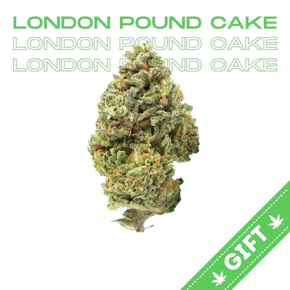 Giving Tree gifts London Pound Cake, also known as “Pound Cake”, is an indica hybrid weed strain made from a genetic cross between Sunset Sherbert and an unknown heavy-hitting indica. London Pound Cake is a potent and delicious strain that offers a smooth and relaxing high. Bred by Cookies, London Pound Cake combines the best of both parents, delivering a sweet and spicy flavor with a diesel and nutty undertone.