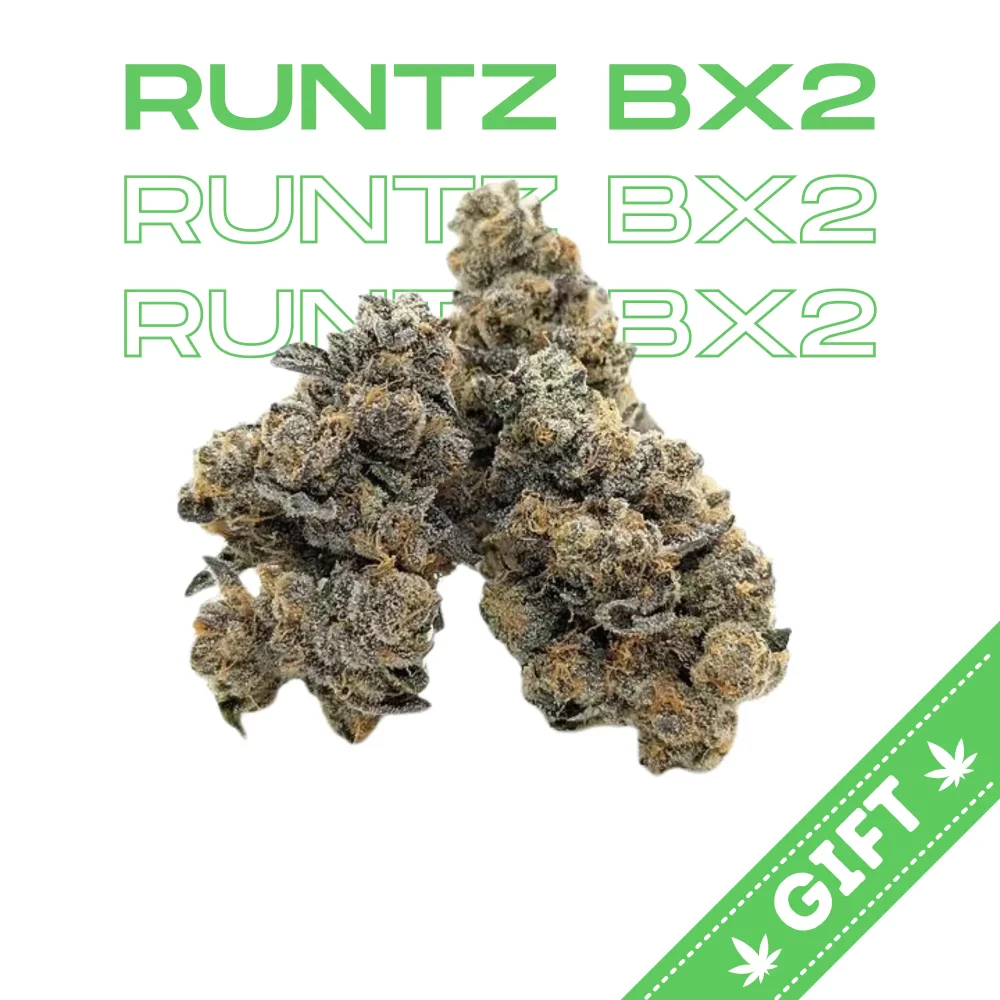 Giving Tree gifts Runtz BX2, an indica hybrid, the first Runtz BX, was created by crossing Runtz to Strawberries and Cream F2 and then backcrossing it to Runtz. This was done in a collaborative effort with Raw Genetics. We then took Candy Machine and backcrossed it for the second time to Runtz to make the world’s first Runtz BX2.