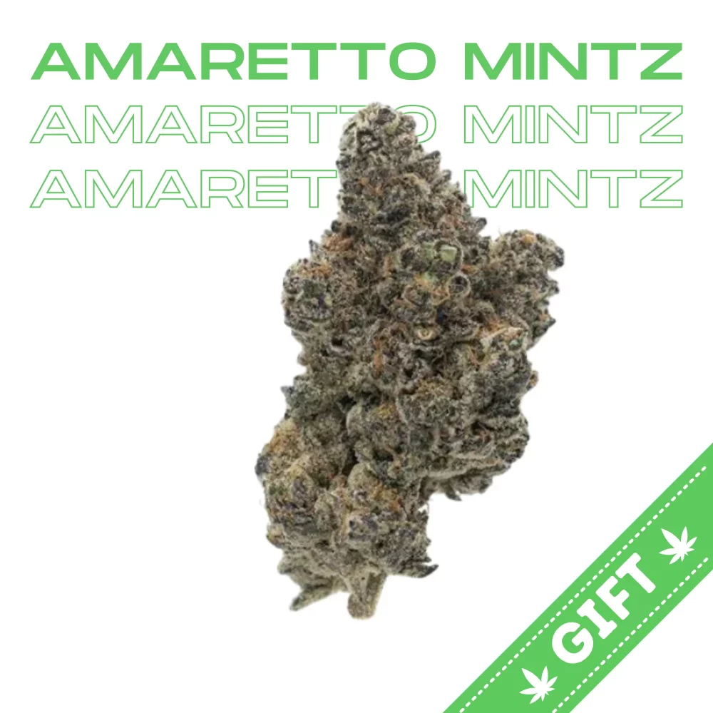 Giving Tree gifts Amaretto Mintz, an sativa hybrid weed strain bred in a collaboration between Seed Cartel and Jay Beezo and made from a genetic cross of Cherry Punch x Animal Mintz.