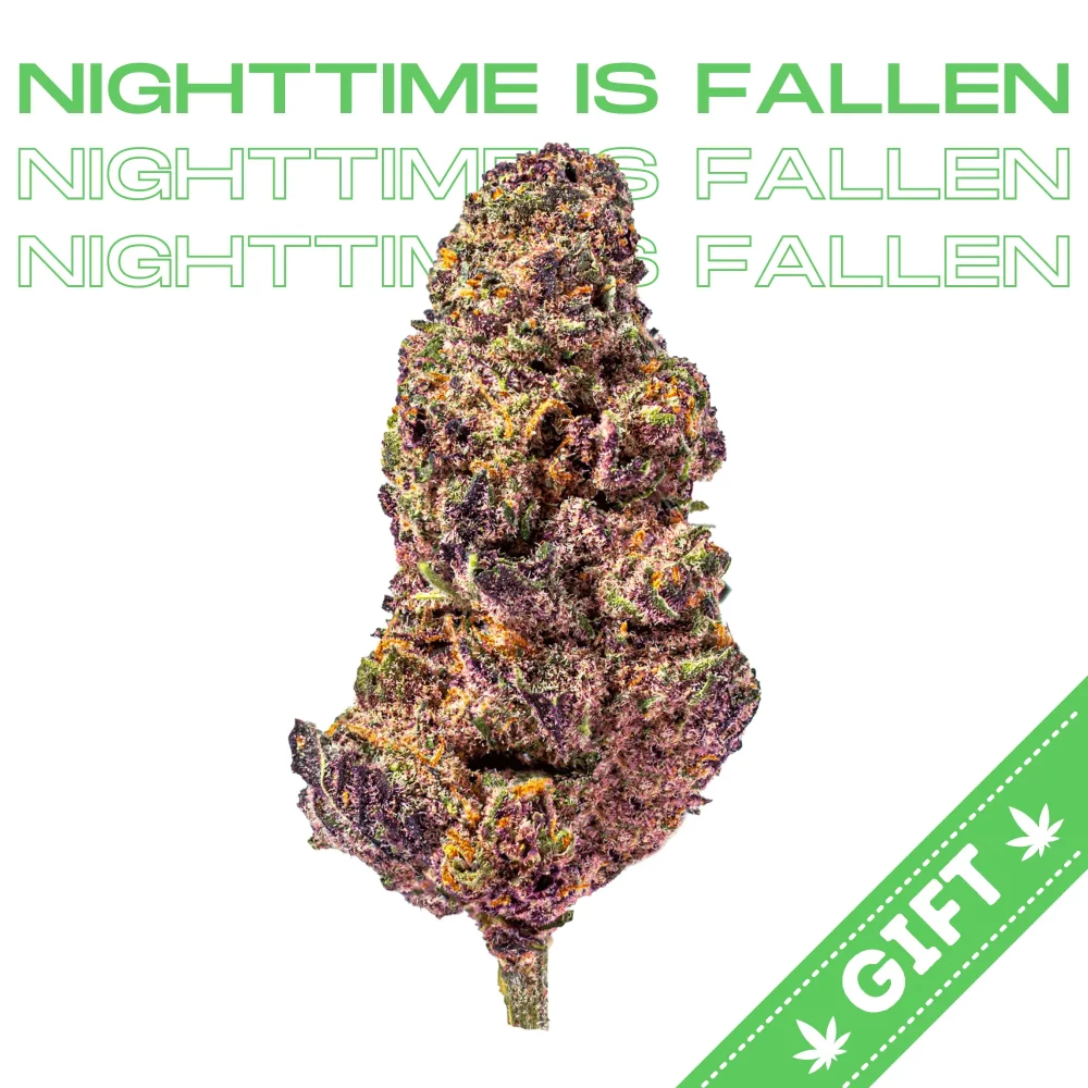 Giving Tree gifts Nighttime is Fallen, an indica hybrid made by a genetic cross between Zkittlez and an unknown strain. Nighttie is Fallen is our collaboration with New Impressionz, half band/half amazing. This strain is an offspring of the famed Zkittlez strain that was handed down by “Gas Station Bob” to the Emerald Triangle breeders of 3rd Gen Fam.