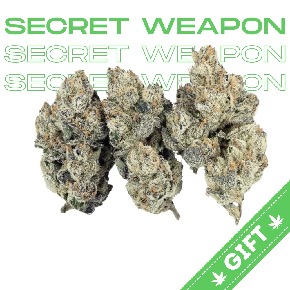 Giving Tree gifts Secret Weapon, a sativa hybrid weed strain made from a genetic cross between Cheese Quake and White Widow. Secret Weapon is 25% THC, making this strain an ideal choice for experienced cannabis consumers.