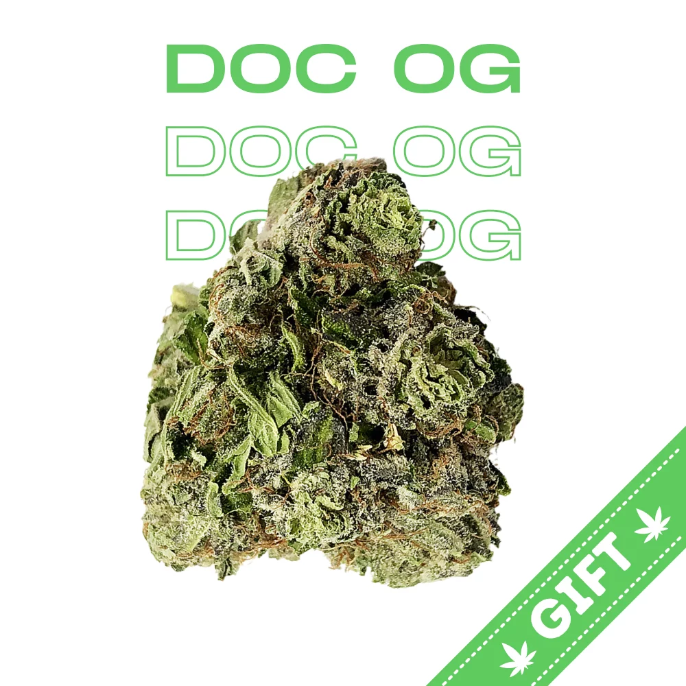 doc-og-strain-cannabis