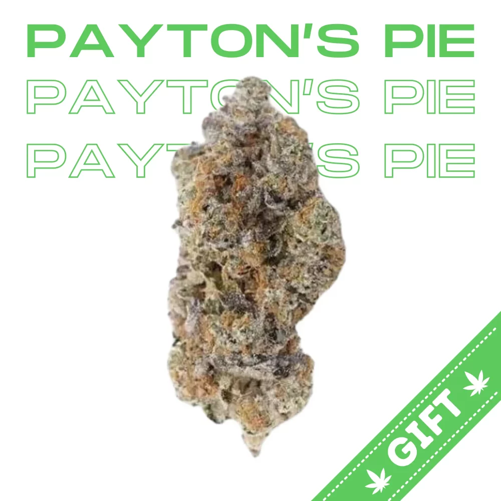 Giving Tree gifts Payton's Pie, an indica hybrid strain, made from a genetic cross between Cherry Pie and Peyton's OG.