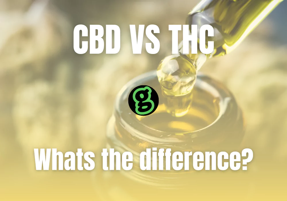 cbd-vs-thc-whats-the-difference