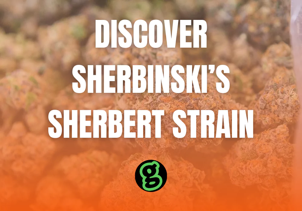 Sherbinski Sherbert Cannabis Strain review