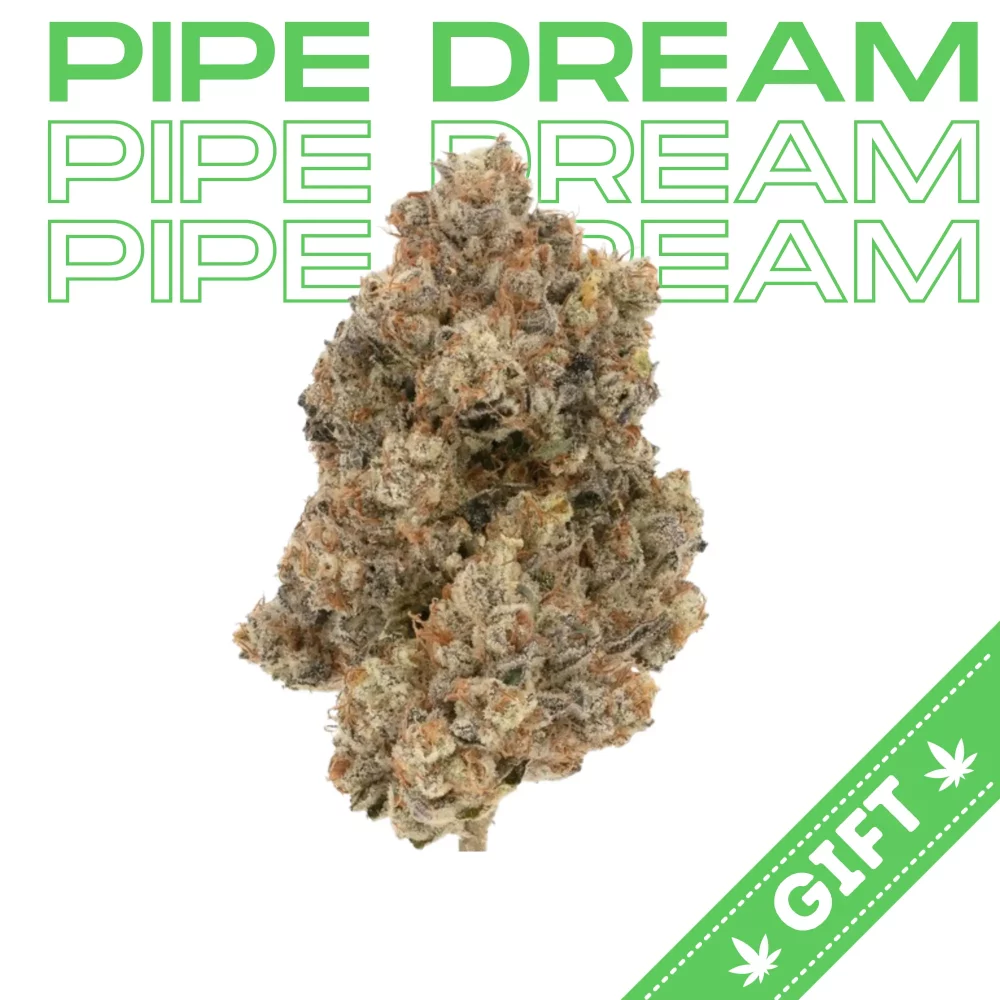 Giving Tree gifts Pipe Dream is a sativa-dominant hybrid weed strain made from a genetic cross between Blue Dream, Acapulco Gold, and Cinderella 99.