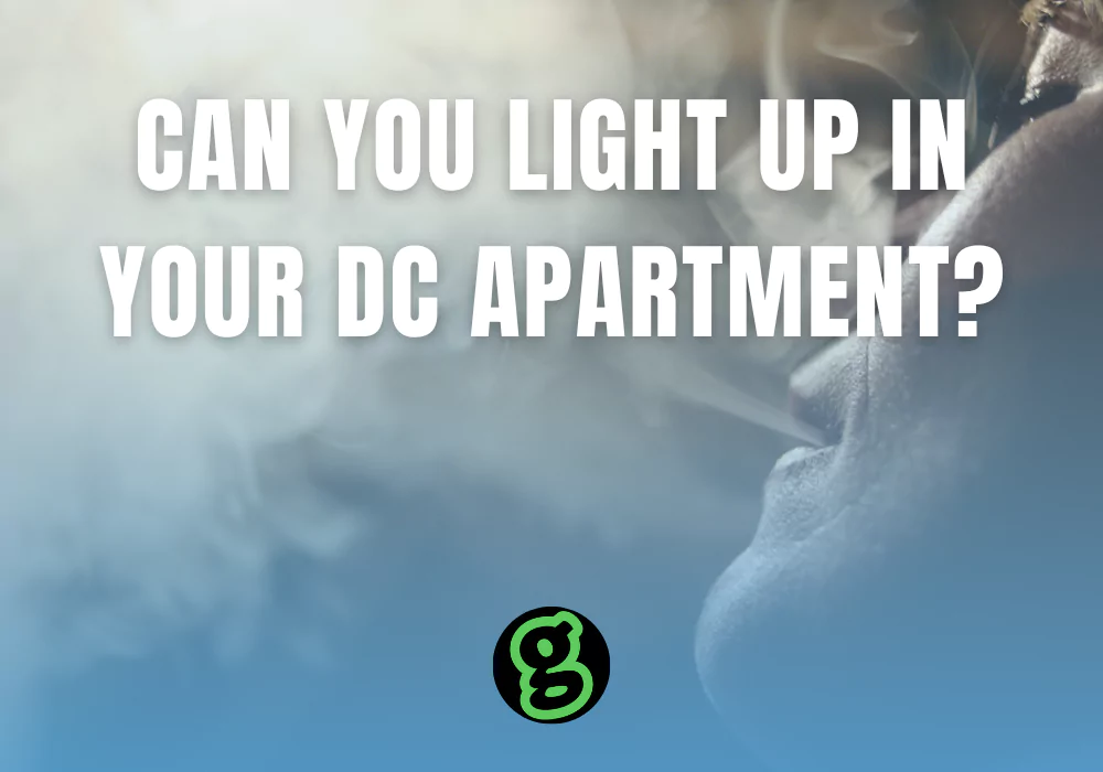 can-you-light-up-in-your-dc-apartment