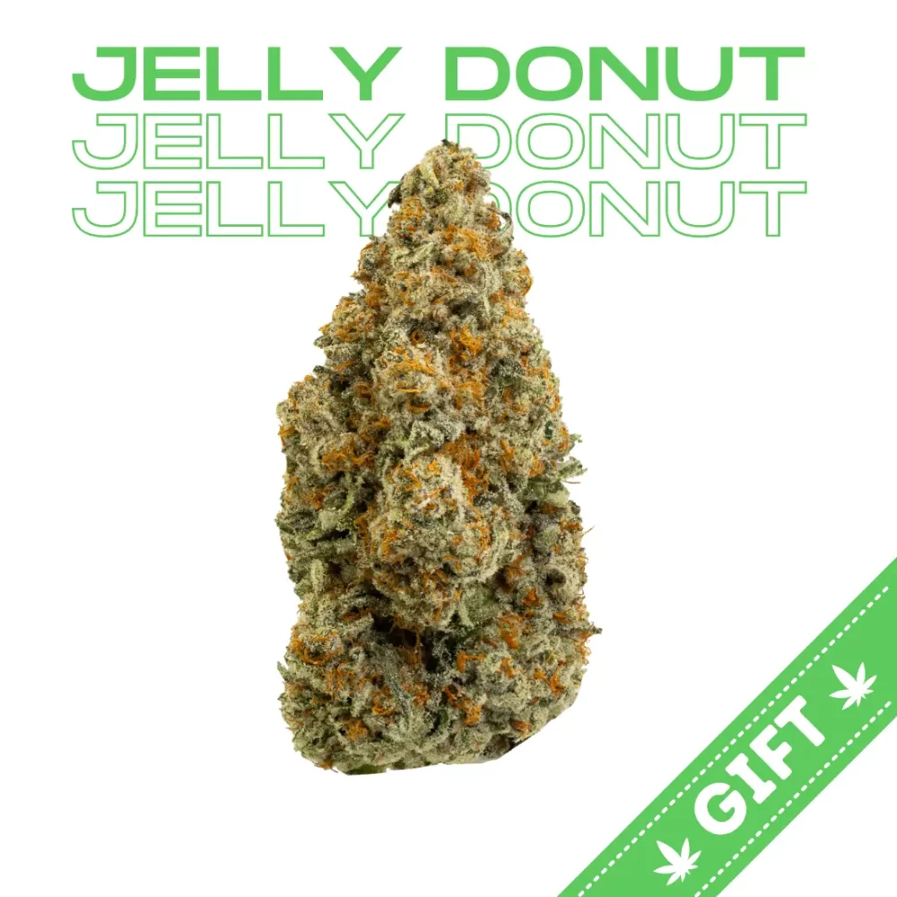 Giving Tree gifts Rainbow Zkittlez, an indica hybrid, made by genetic cross of the Purple Punch and French Toast.