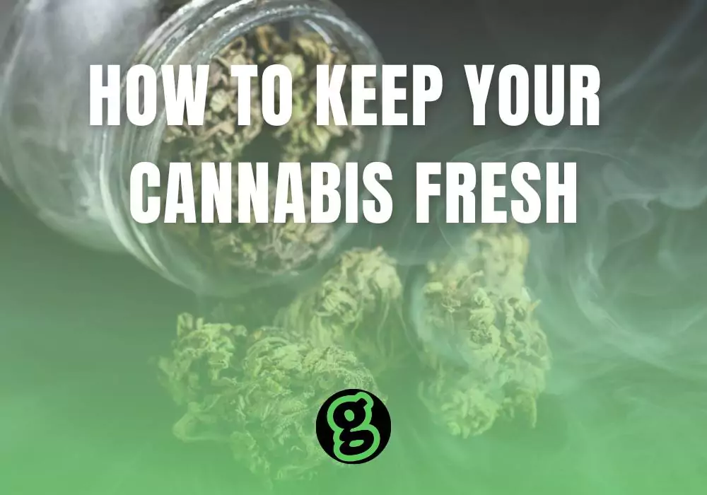 how-to-keep-cannabis-fresh-at-home