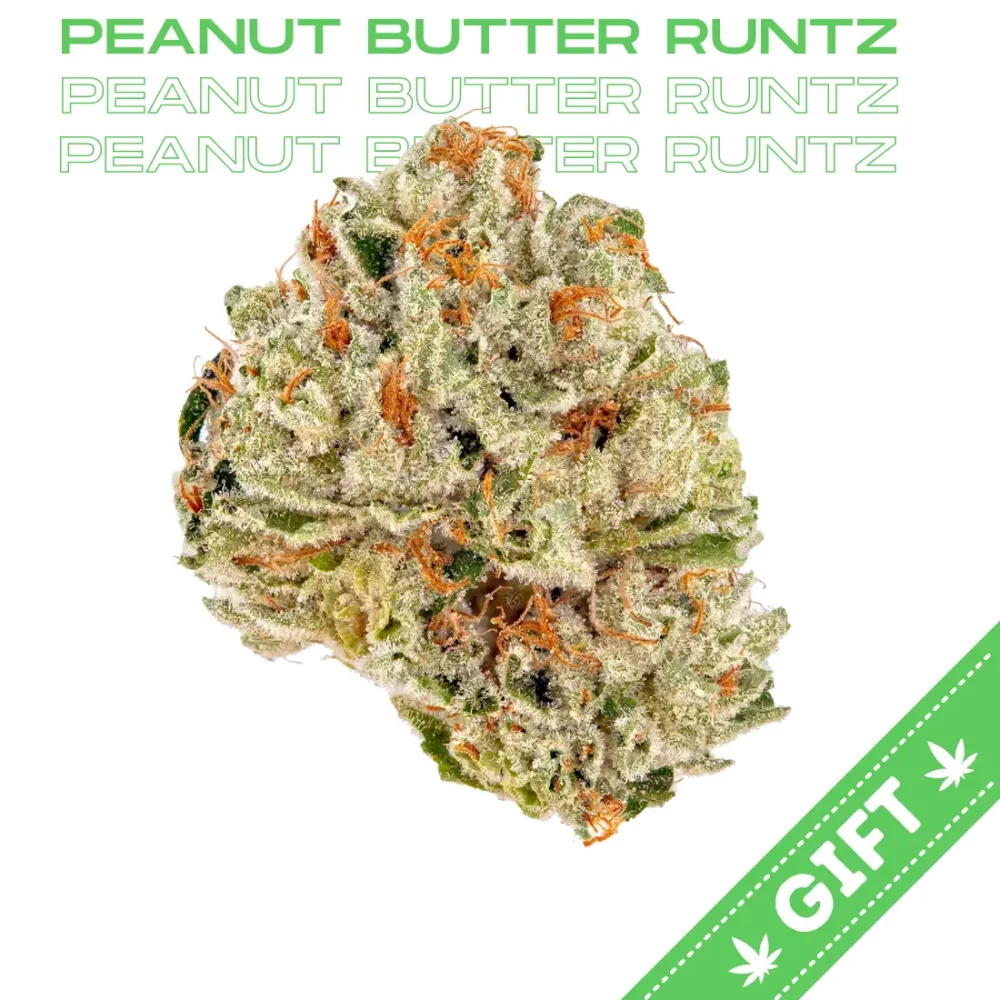 Giving Tree gifts Peanut Butter Runtz, an indica hybrid, made by genetic cross of Runtz and Peanut Butter Breath.