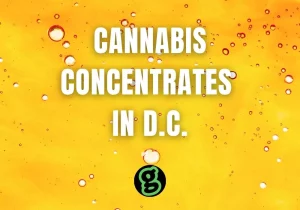 cannabis-concentrates-in-dc