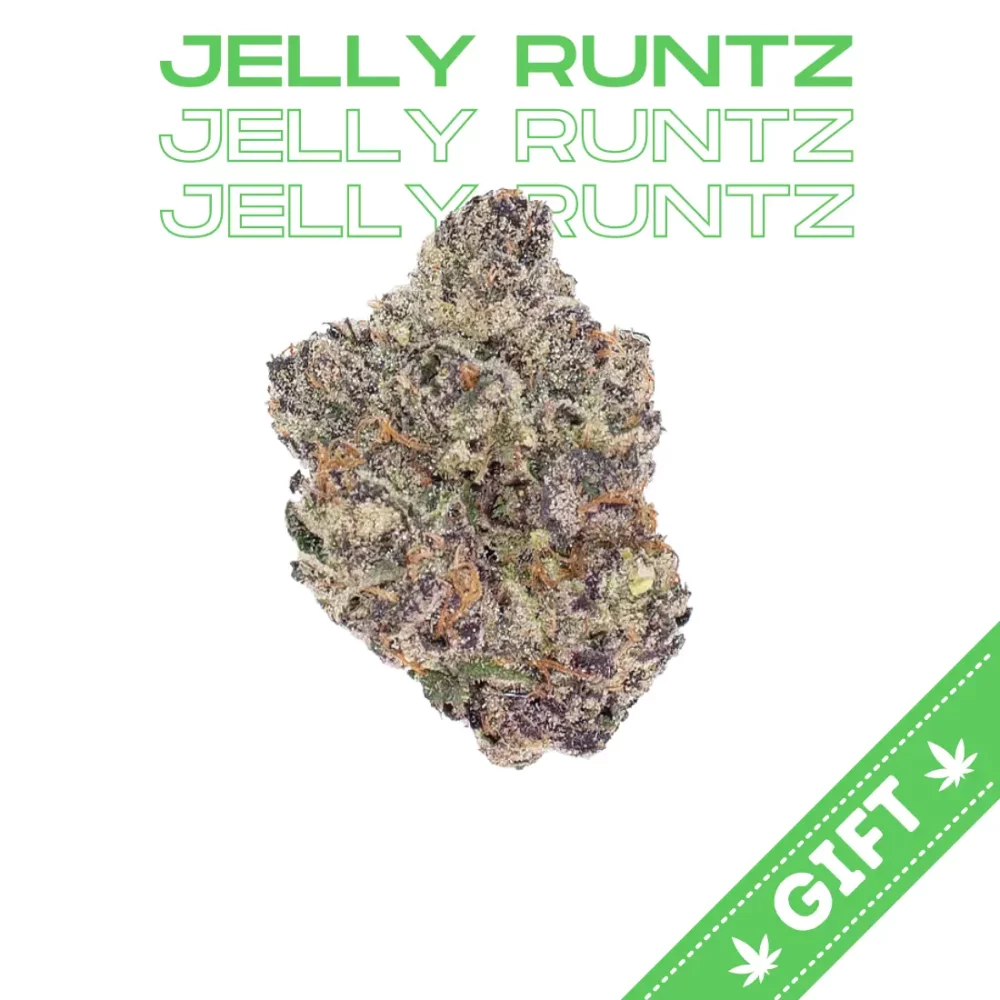Giving Tree gifts Jelly Runtz, an indica hybrid, made from crossing White Runtz and Hella Jelly