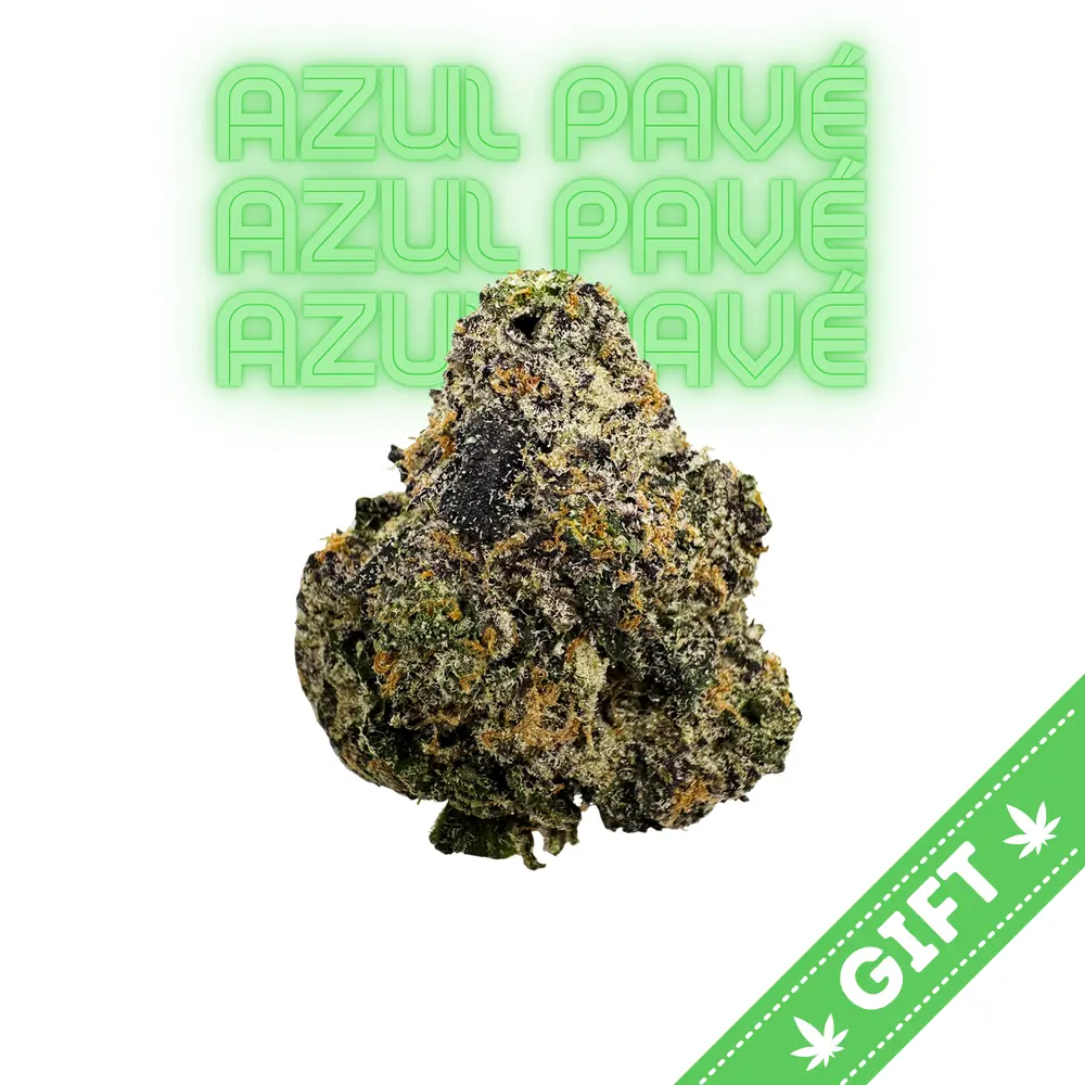 Giving Tree gifts Azul Pave, is an indica hybrid made by crossing Paris OG and The Menthol.