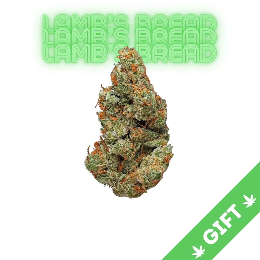 Giving Tree gifts Lamb's Bread, a Sativa strain of cannabis. It is known for its uplifting effects and distinctive flavor and aroma.