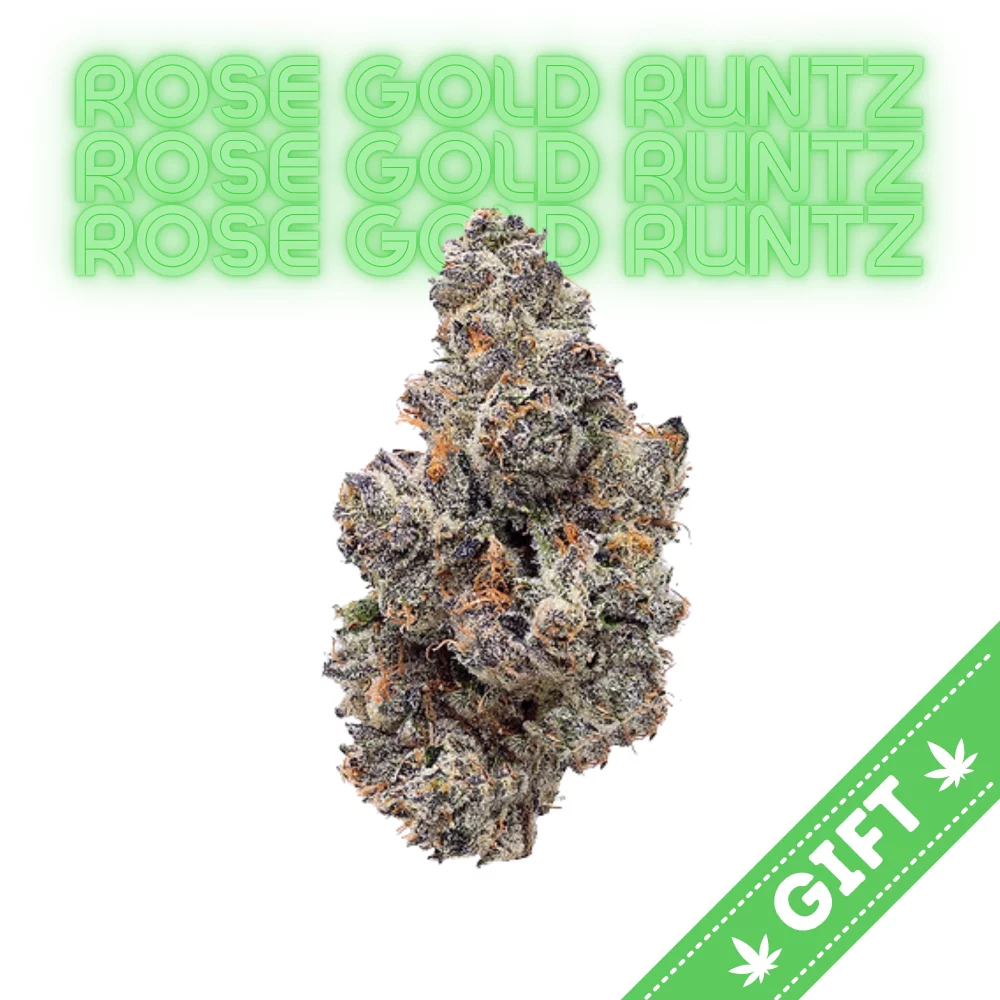 Giving Tree gifts Rose Gold Runtz, a captivating hybrid weed strain that expertly combines the delightful genetics of Apples & Bananas with the ever-popular White Runtz.