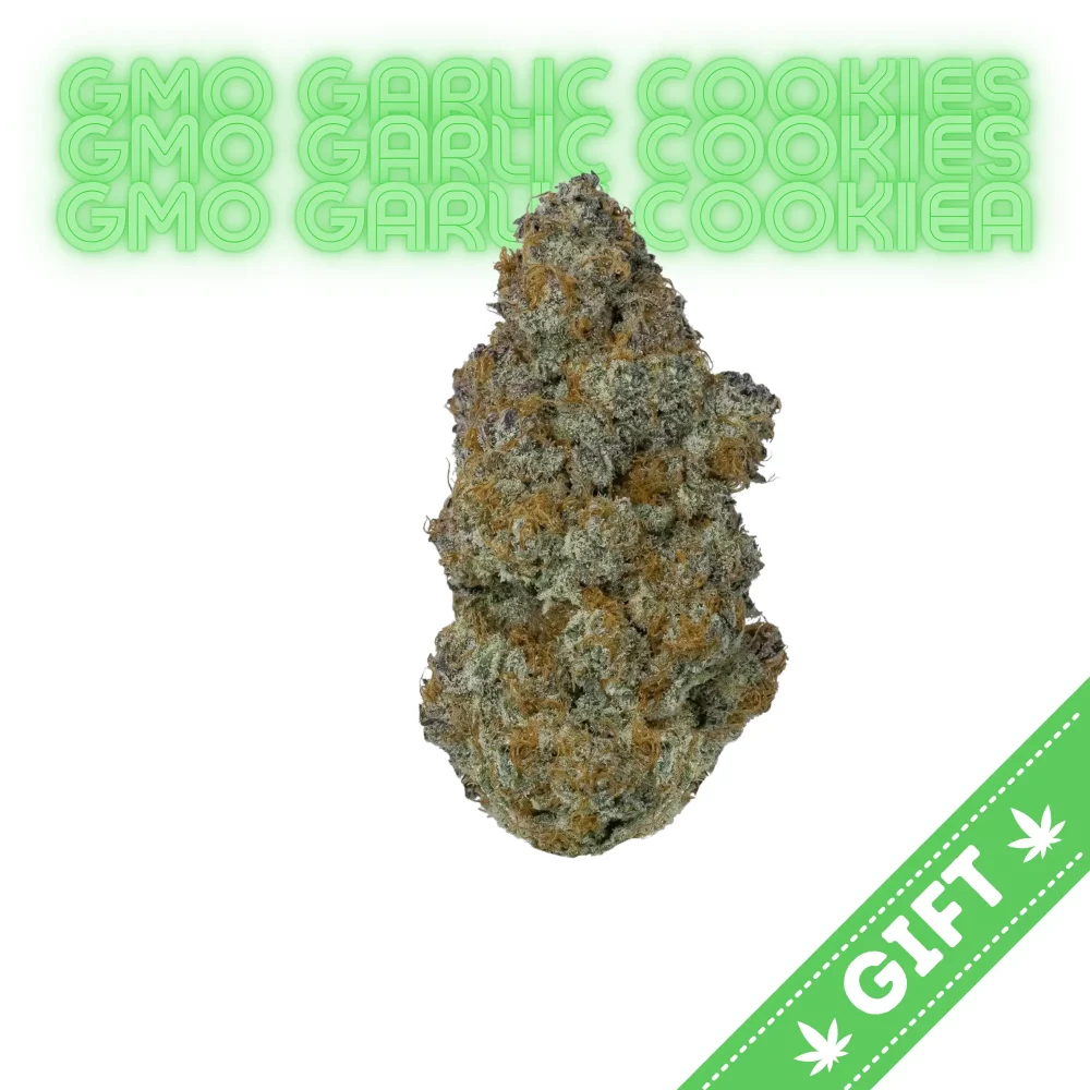 GMO, also known as as "GMO Garlic Cookies" and "Garlic Cookies," is a potent indica-dominant hybrid marijuana strain made by crossing Girl Scout Cookies with Chemdawg. ing legendary Chem Dawg and Gelatti.