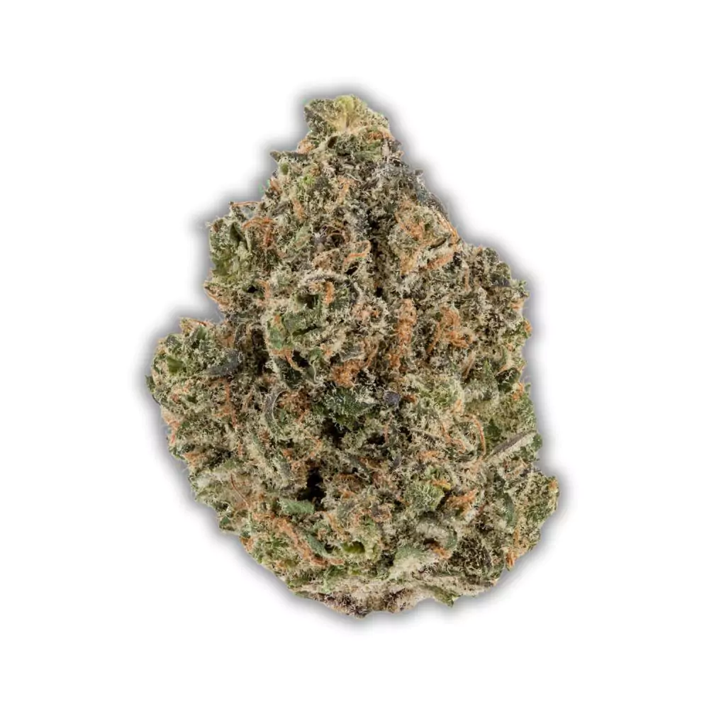 key-lime-jack-cannabis-strain-weed-wiki