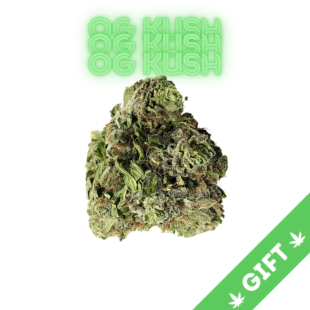 Giving Tree gifts OG Kush, an Indica Hybrid weed strain made by crossing Chemdawg, Lemon Thai, and a Hindu Kush. Get it now at Giving Tree DC