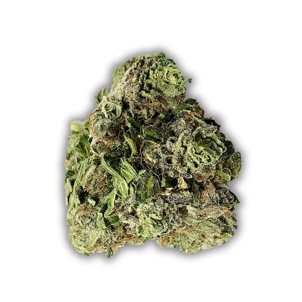 premium-og-kush-cannabis-wiki