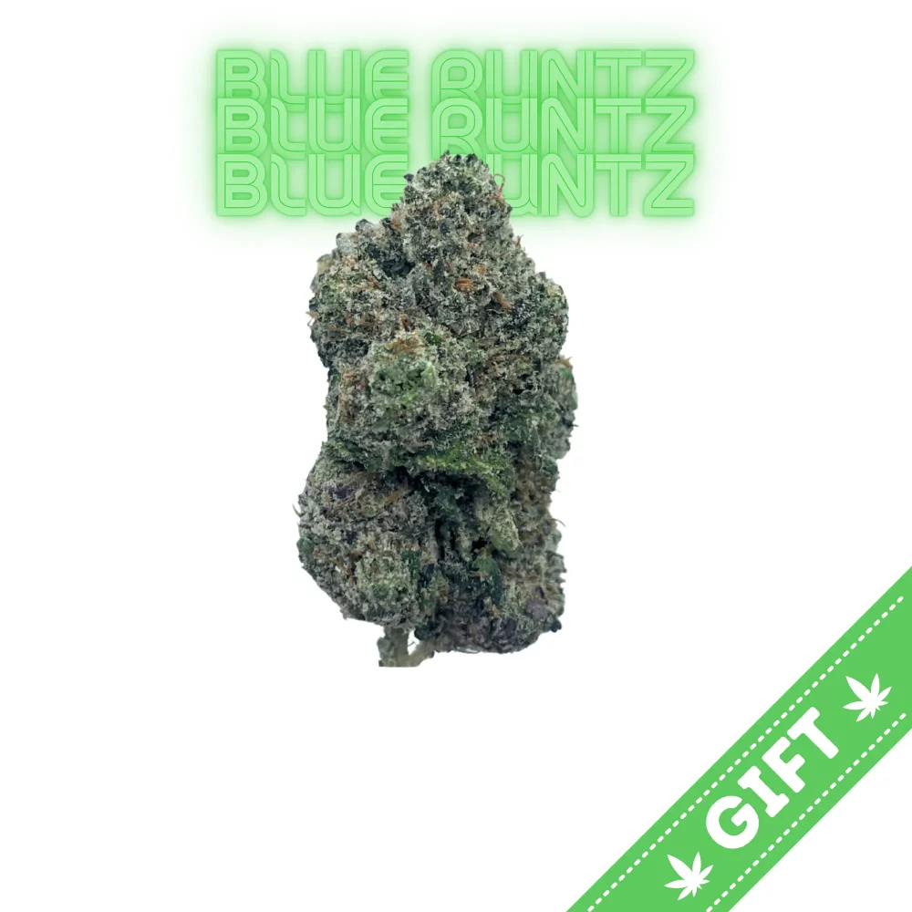 Giving Tree gifts Blue Runtz, an Indica Hybrid weed strain made by crossing Blueberry and white runtz