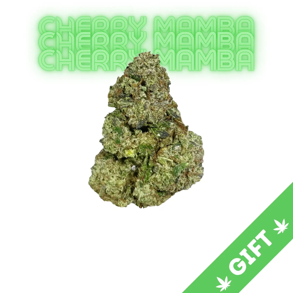 Giving Tree gifts Cherry Mamba, Cherry Mamba an intriguing indica marijuana strain that has captured the attention of cannabis enthusiasts for its unique characteristics and potent effects.