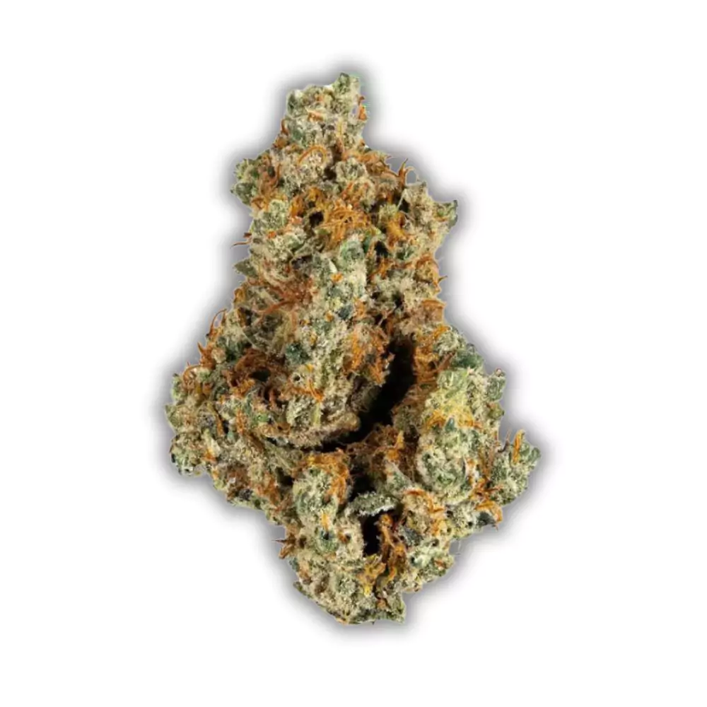 ghostface-runtz-strain-wiki-powerful-cannabis-hybrid