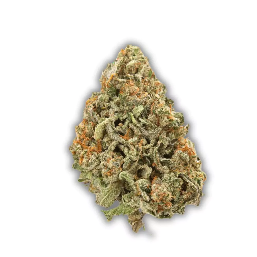 mango-haze-cannabis-hybrid-strain-giving-tree-dc-weed-wiki