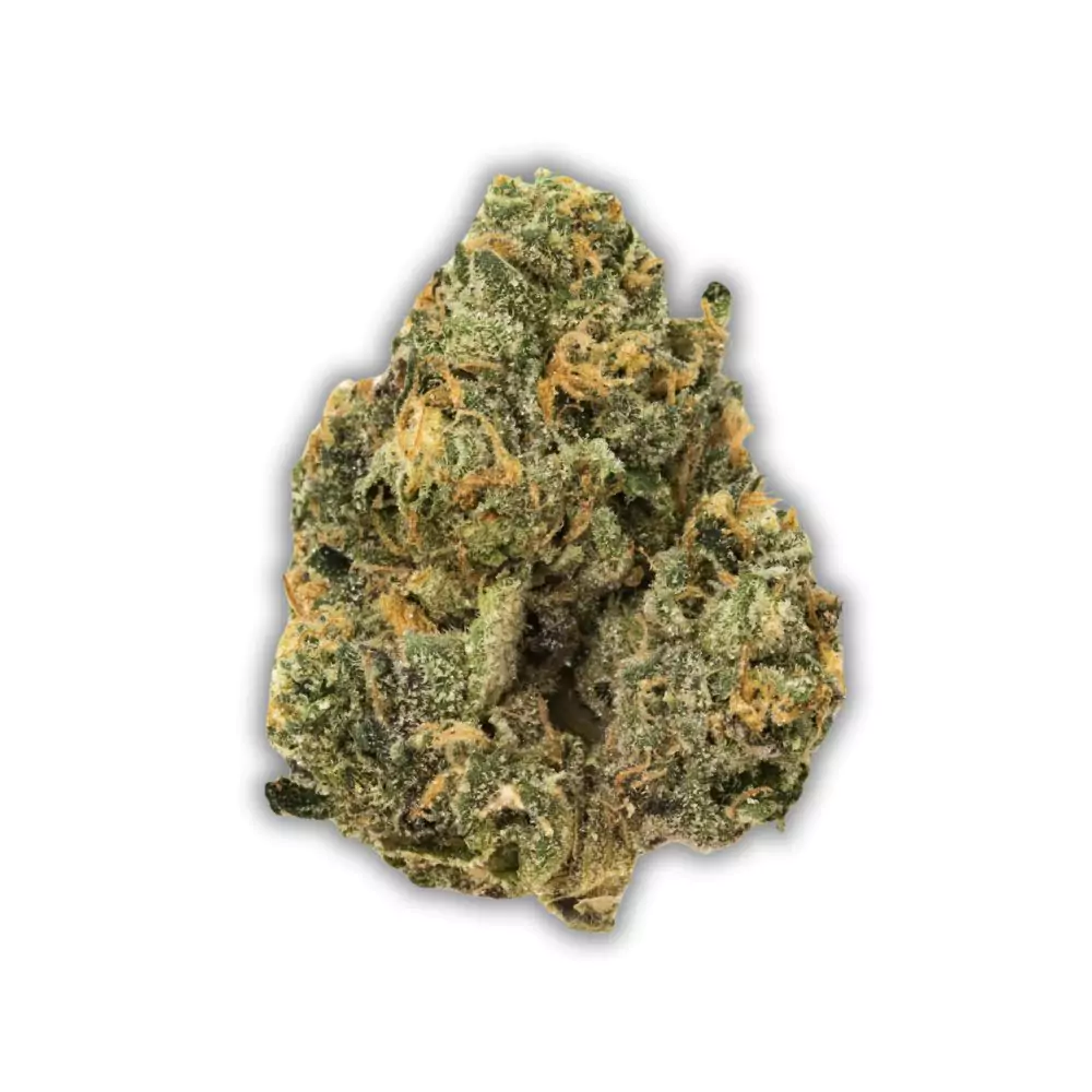 sherbert-weed-strain-cannabis-wiki-dc