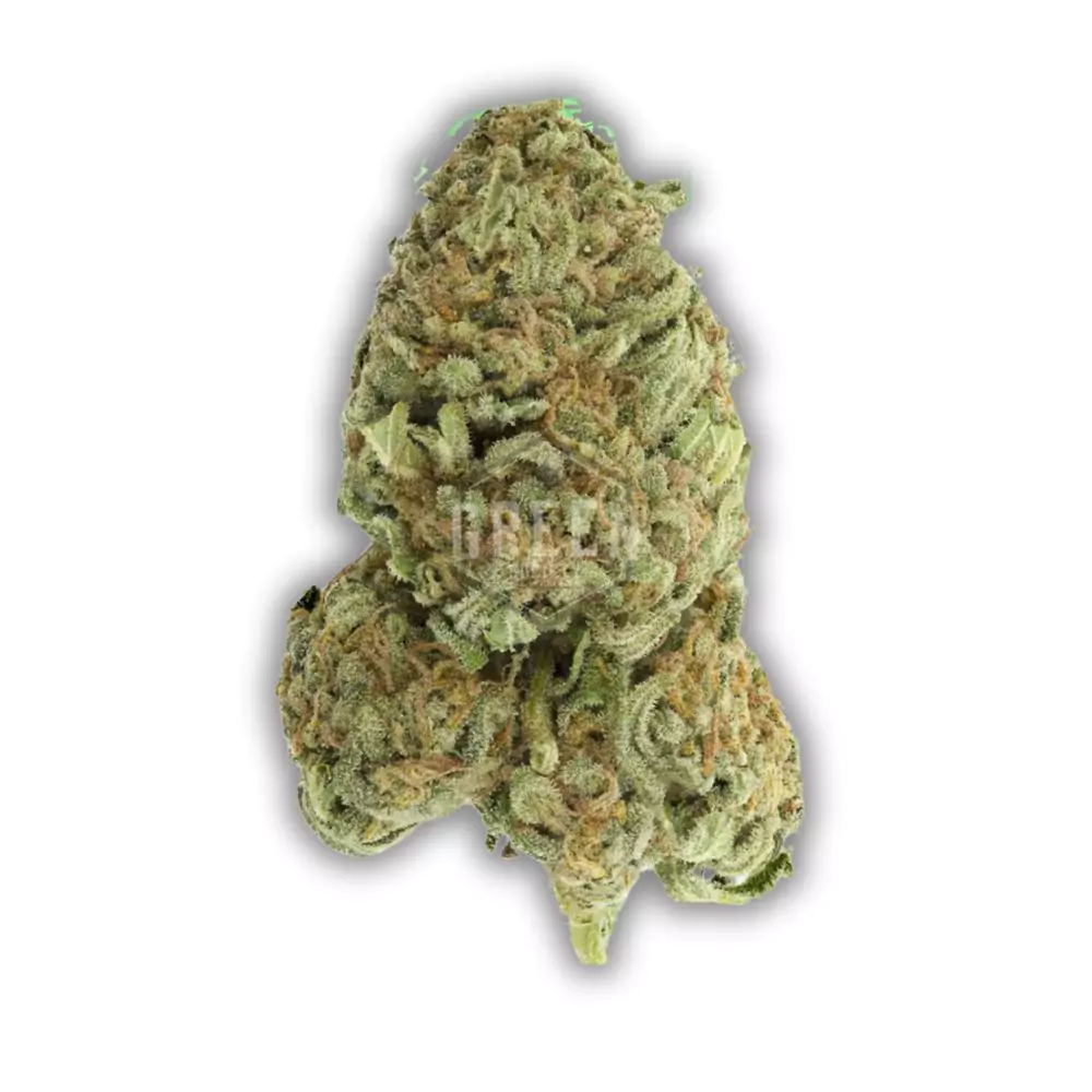 orange-haze-cannabis-sativa-hybrid-weed-wiki