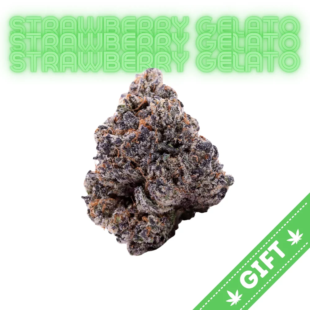 Giving Tree gifts Strawberry Gelato, an indica-dominant hybrid cannabis strain that combines the best qualities of its parent strains, Gelato #33 and Strawberry Snow Cone.