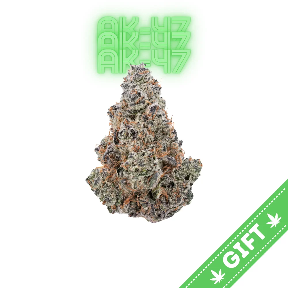 Giving Tree gifts AK-47, a sativa hybrid strain, made by crossing Colombian, Mexican, Thai, and Afghani varieties