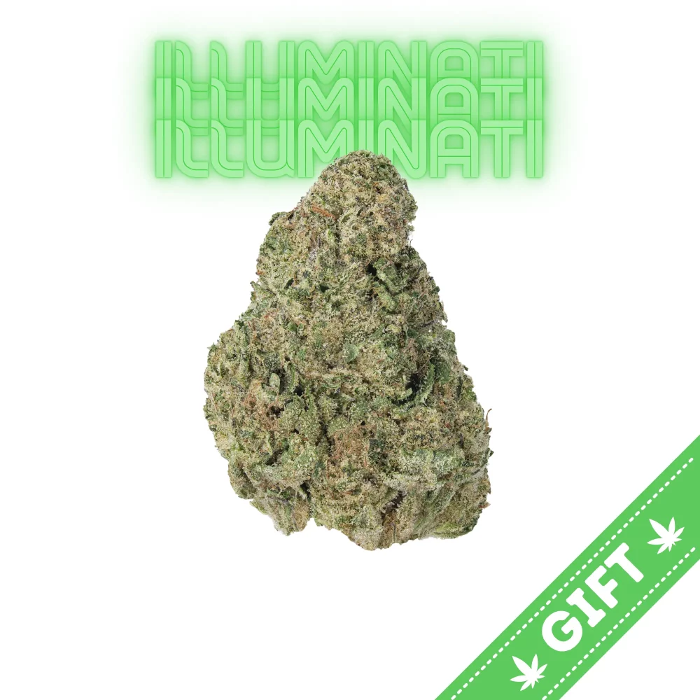 Giving tree gifts Illuminati, a direct cut of Josh D’s 1996 Club 33 OG phenotype, making it the genetic foundation for many well-known West Coast cannabis varieties.